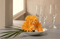 新店運營怎樣規避一些不必要的坑？