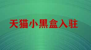 天貓小黑盒 天貓小黑盒