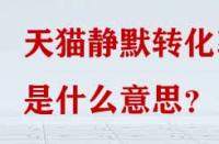 天貓靜默轉(zhuǎn)化率是什么意思？