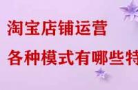 淘寶店鋪運營各種模式有哪些特點？
