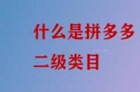 什么是拼多多二級類目？