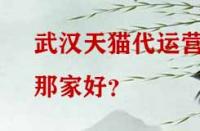武漢天貓代運營那家好？