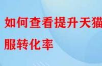 如何查看提升天貓客服轉化率