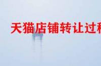 天貓店鋪轉讓過程（天貓網店轉讓注意事項）