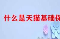 什么是天貓基礎(chǔ)保障？它的作用是什么？