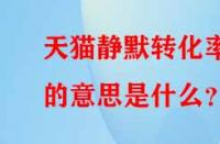 天貓靜默轉化率的意思是什么？