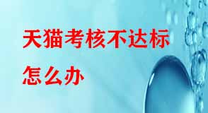 天貓代運(yùn)營