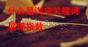 淘寶代運營 淘寶代運營