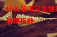 什么是淘寶關(guān)鍵詞展現(xiàn)指數(shù)？它的作用是什么？