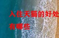 入住天貓的好處有哪些？它的優(yōu)勢(shì)在哪里？