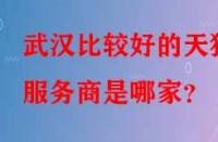武漢比較好的天貓服務商是哪家？