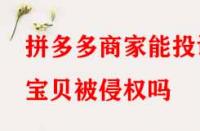 拼多多商家能投訴寶貝被侵權嗎？