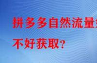 拼多多自然流量好不好獲取？