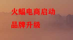 淘寶代運營 淘寶代運營