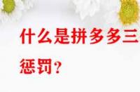 什么是拼多多三級懲罰？