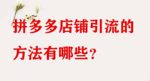 拼多多代運(yùn)營(yíng)