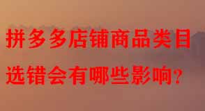 拼多多代運營 拼多多代運營