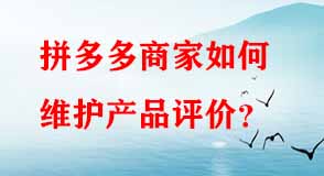 拼多多代運營 拼多多代運營
