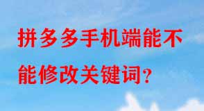 拼多多代運(yùn)營(yíng) 拼多多代運(yùn)營(yíng)