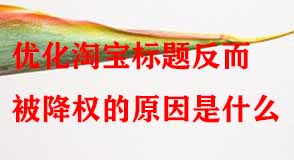 淘寶代運營 淘寶代運營