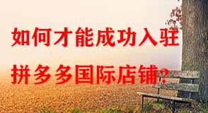 拼多多代運營 拼多多代運營