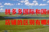 拼多多國際和國內店鋪的區別有哪些？
