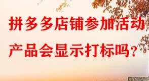 拼多多代運營 拼多多代運營