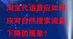 淘寶代運(yùn)營(yíng) 淘寶代運(yùn)營(yíng)