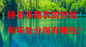 拼多多代運營 拼多多代運營