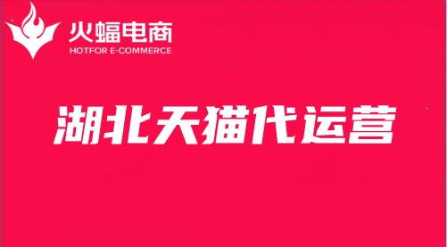 湖北天貓代運營
